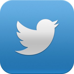 The twitter logo